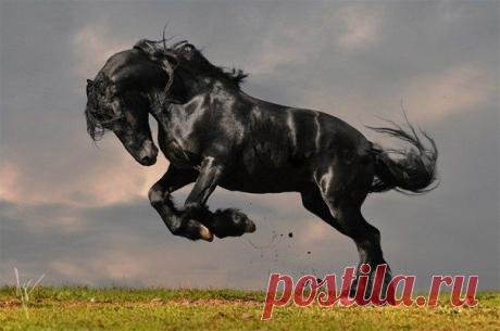 Фотографии на стене сообщества | 8 672 фотографии | ВКонтакте
