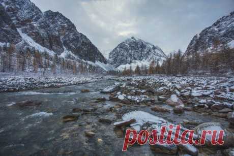 Живая сила природы / Altai. Фотограф Анатолий Кудрявцев