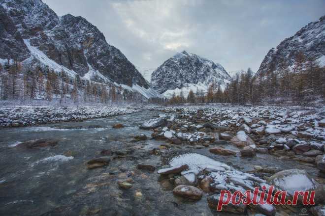 Живая сила природы / Altai. Фотограф Анатолий Кудрявцев