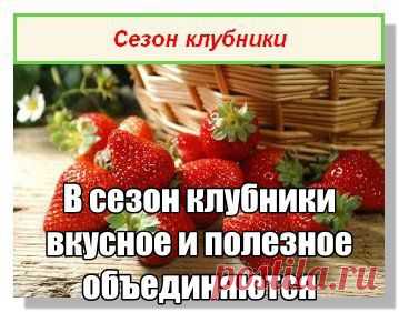 Радости жизни – Google+