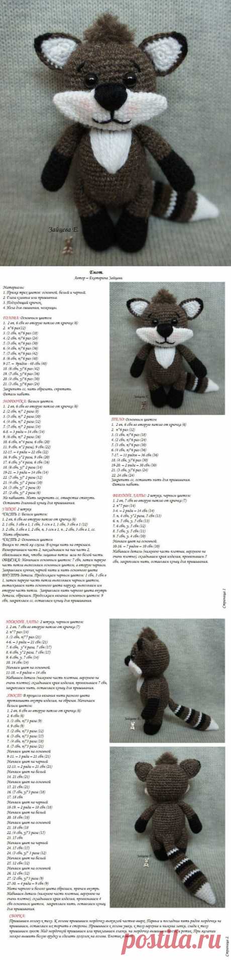 Енот-полоскун во всей своей красе