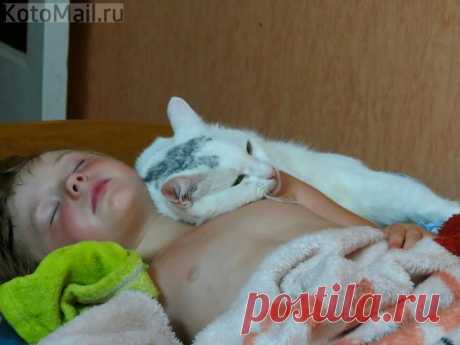 Малыши отдыхают! | KotoMail.ru