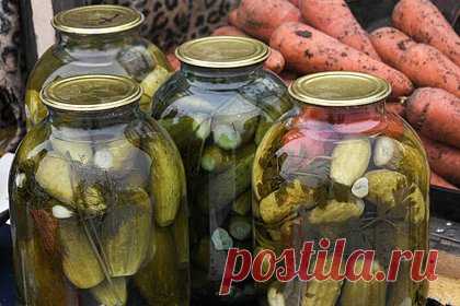 Врач назвала главное правило защиты от ботулизма