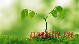 Шаблон «У доски» для презентации PowerPoint — Шаблоны презентаций PowerPoint