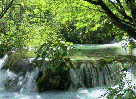 Плейкаст «ДЛЯ ДУШИ...........»