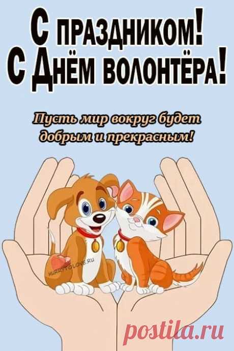 С днем волонтера!