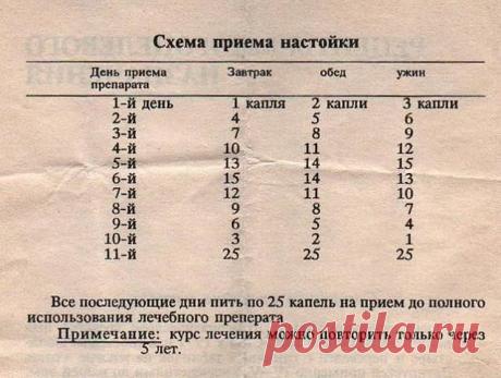 (50) Одноклассники