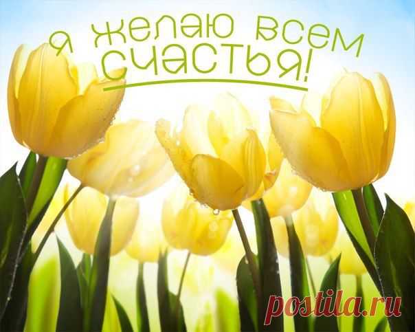 http://www.rodoswet.ru/