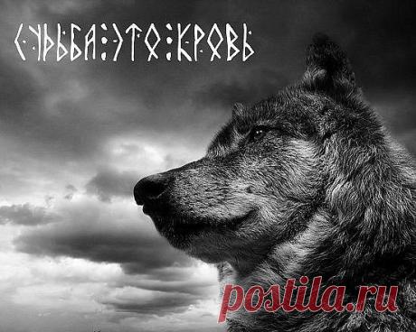 Генетики поставили шах и мат русофобам — Русские – один из самых чистокровных народов в Евразии.