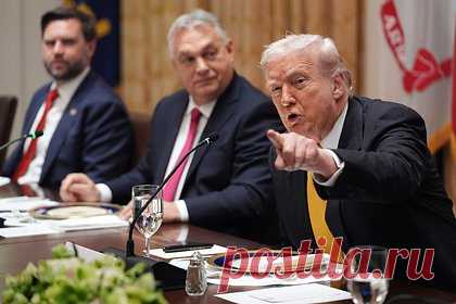 В Госдуме назвали выгоду России от встречи Трампа и Орбана