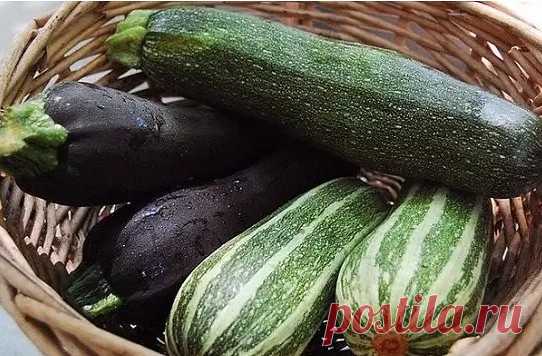 1 непрочитанный чат