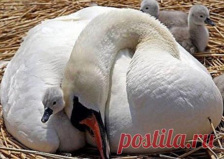 Вам сообщение!