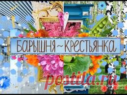 Теле-Шоу