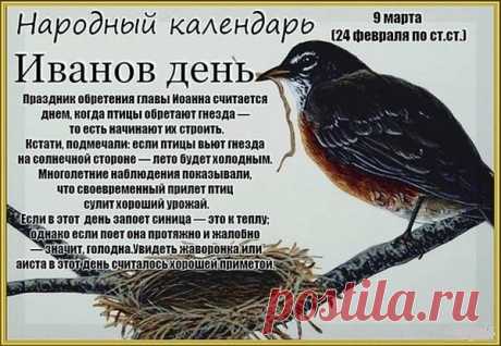 Иванов день!Православная церковь сегодня празднует Обретение главы Иоанна Предтечи.