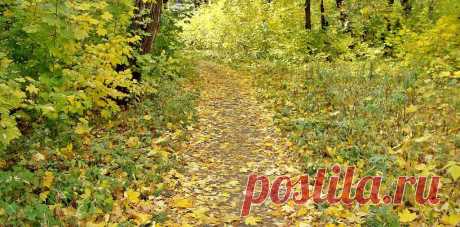 ФОТОМАСТЕРСКАЯ ПРИРОДЫ
Ирина ╰დ╮╭დ╯ Пыхачева