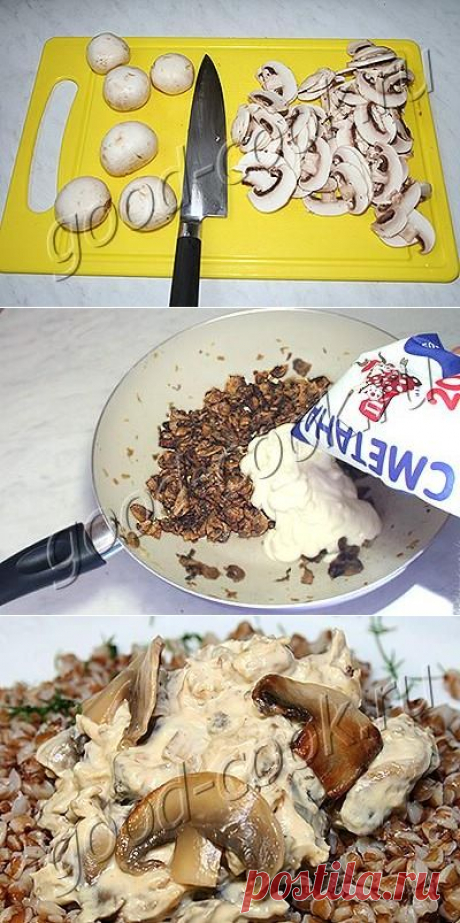 Тушеные шампиньоны со сметаной.