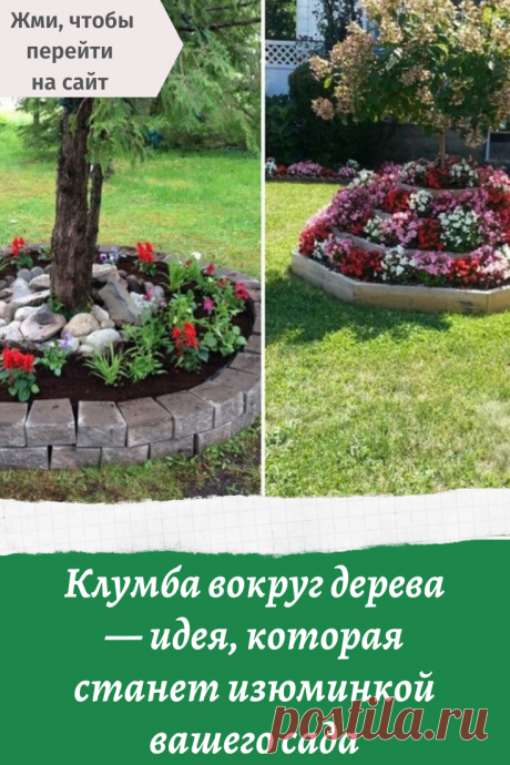 Клумба вокруг дерева — идея, которая станет изюминкой вашего сада