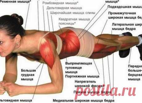 Универсальная зарядка - всего одно упражнение Планка!