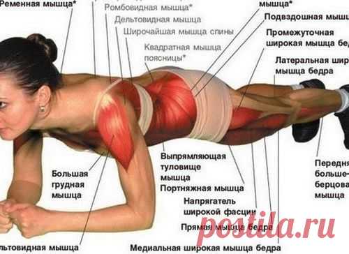 Универсальная зарядка - всего одно упражнение Планка!