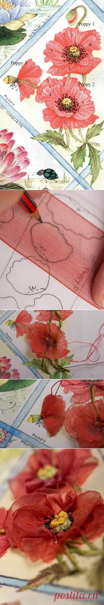 Одноклассники