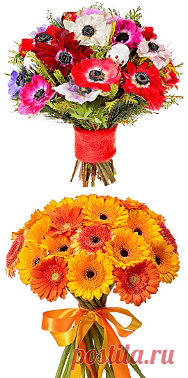 ФЛОРИСТ.РУ Заказ и доставка цветов по Москве, России, миру. Заказать доставку букетов цветов на дом, в офис