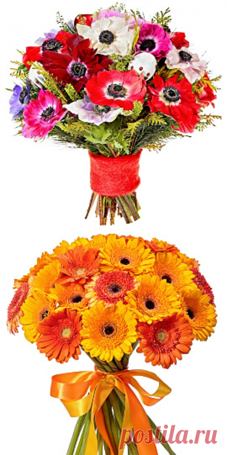 ФЛОРИСТ.РУ Заказ и доставка цветов по Москве, России, миру. Заказать доставку букетов цветов на дом, в офис