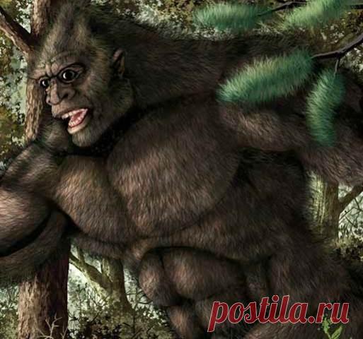 ВСТРЕЧА С ЙЕТИ У ОЗЕРА В АРХАНГЕЛЬСКОЙ ОБЛАСТИ