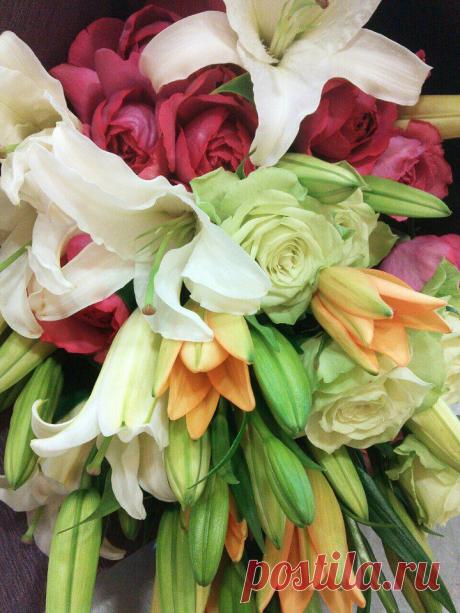 флористика