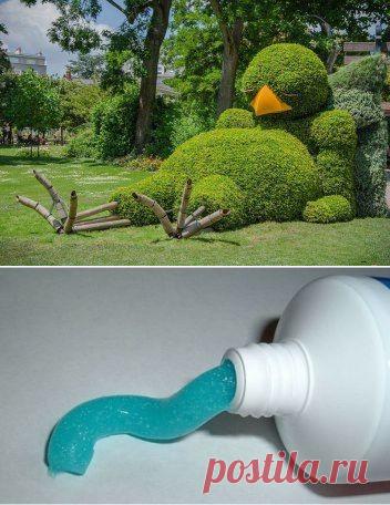 (52) Одноклассники