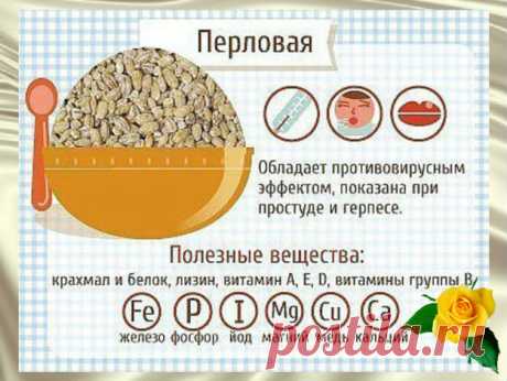 Эта крупа является источником коллагена и омолаживает женский организм! - Жизнь планеты