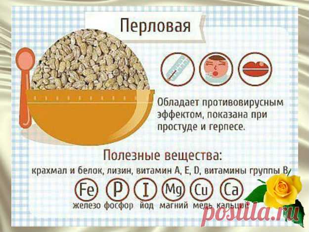 Эта крупа является источником коллагена и омолаживает женский организм! - Жизнь планеты