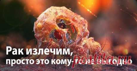 РАК – ЭТО ГРИБКОВОЕ ЗАБОЛЕВАНИЕ…

Рак – грибковая инфекция. Очень похоже на то, что медицинская мафия использует слово «рак», как обманку для последующего массового убийства людей с помощью радио- и химиотерапии. Процедуры эти очень дорогие, но работают хорошо – убивают абсолютно всех. 

Предлагаем вашему вниманию перевод статьи Дэвида Айка, оригинал которой на английском языке вы можете легко найти в интернете. 

Цифры, конечно, впечатляющие. Восемь миллионов людей умирае...