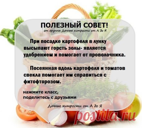 (4) Одноклассники