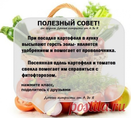 (4) Одноклассники