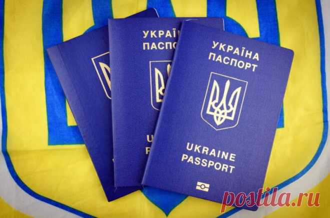 Биометрический паспорт - вся информация о документе