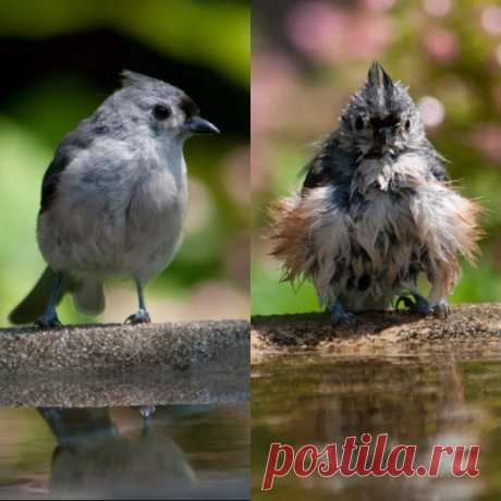 Картинки с приколами / Приколы
