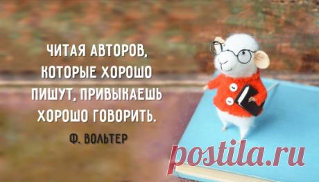 20 самых интересных высказываний о пользе чтения – Фитнес для мозга