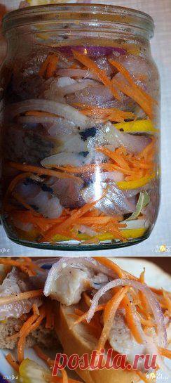 Сельдь по голландски Одноклассники