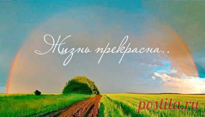 Жизнь прекрасна | Дневник собачницы | Яндекс Дзен