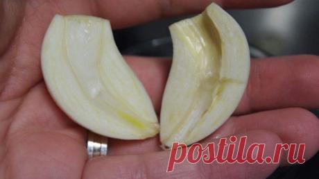 Разрезала чеснок и вынула сердцевинку… Когда ты поймешь почему, непременно сделаешь то же самое! -