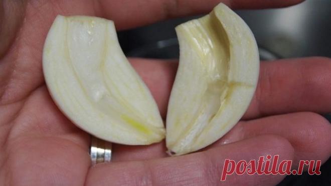 Разрезала чеснок и вынула сердцевинку… Когда ты поймешь почему, непременно сделаешь то же самое! -