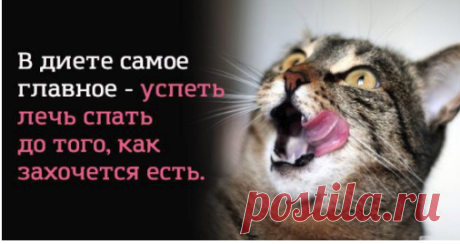 16 веселых открыток, которые помогут с юмором взглянуть на обыденные вещи.