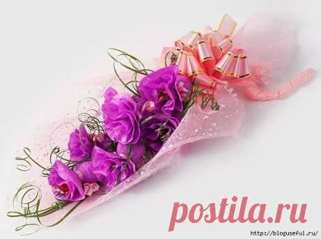 цитата Калина-Галина : рукоделия (23:19 02-02-2016) [5898676/383607644] - irina-lena@inbox.ru - Почта Mail.Ru