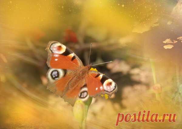 20 февраля 2019. Магия лунных и солнечных суток | Астропропаганда | Яндекс Дзен

Автор: астролог Нина Стрелкова. 
День связан с возвышением и сохранением равновесия. Магия дня: церемонии посвящения, избавление от ментального негатива, навязчивых идей, страхов, очищение водой. Гадания дня: в этот день хорошо задавать вопросы, касающиеся карьеры, социального статуса, материального положения. Счастливые сны этого дня: хорошо в этот день до восхода солнца во сне видеть любых птиц...