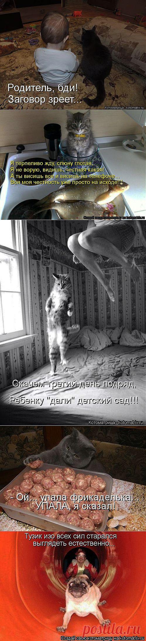 (+1) тема - Все. Нафиг политику. Отвлекитесь))) | ОБОРЖАКА ;)