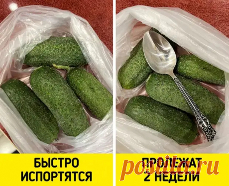 (61) Способы хранения продуктов, которые кажутся абсурдными - С нами не соскучишься! - медиаплатформа МирТесен