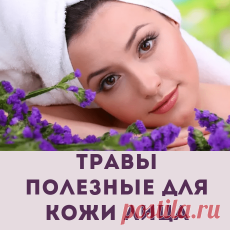 Какие травы полезны для кожи лица.