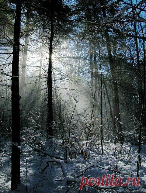 Подсветило софитом солнце, разогнало слепое утро, начинается день снова,  улыбаюсь лежу, хитро.