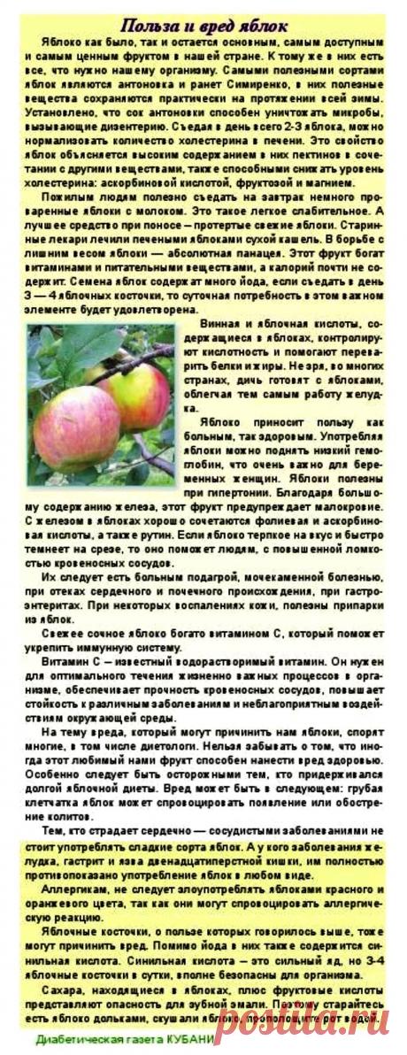 Польза и вред яблок