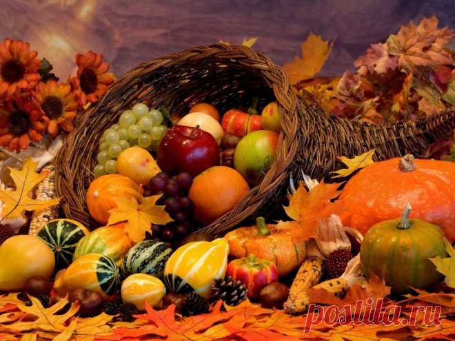 Рецепты осени 
Осеннее яркоцветие пробуждает аппетит. Желто-оранжево-красная листва, лазурно голубое небо, искрящееся солнце... Съестные дары природы на чарующем фоне тоже не теряются. Так и манят к столу. Однако п…